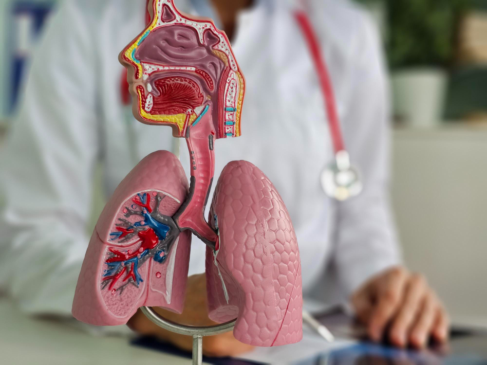 Patient with a chronic cough being evaluated for chronic bronchitis